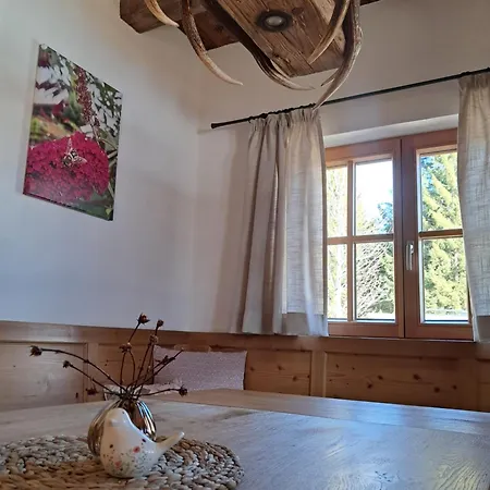 Apartment Lengaualm- Almhuette In Saalbach Hinterglemm Mit Joker Card *