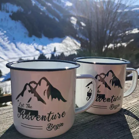 Lengaualm- Almhuette In Saalbach Hinterglemm Mit Joker Card